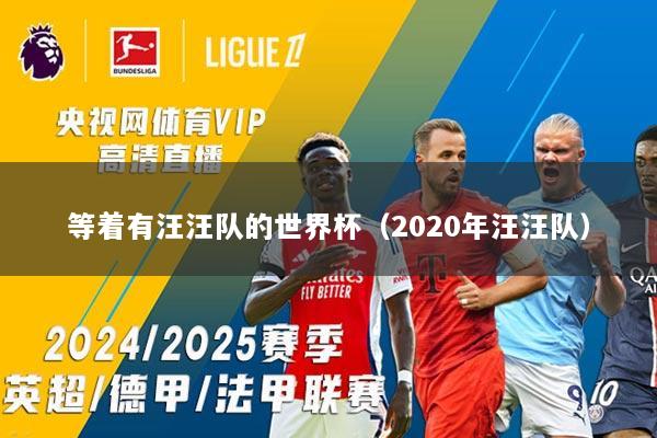 等着有汪汪队的世界杯（2020年汪汪队）