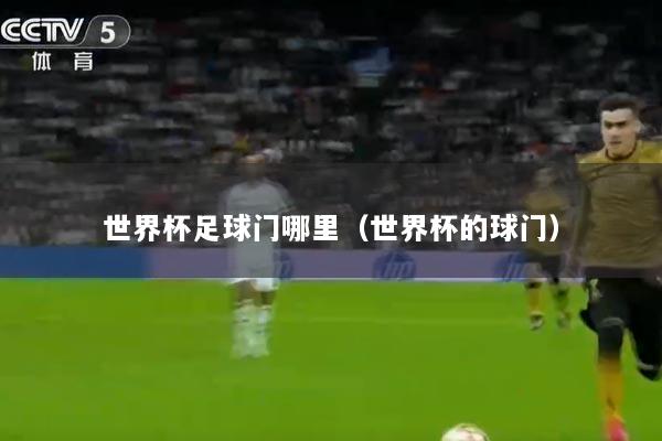世界杯足球门哪里（世界杯的球门）