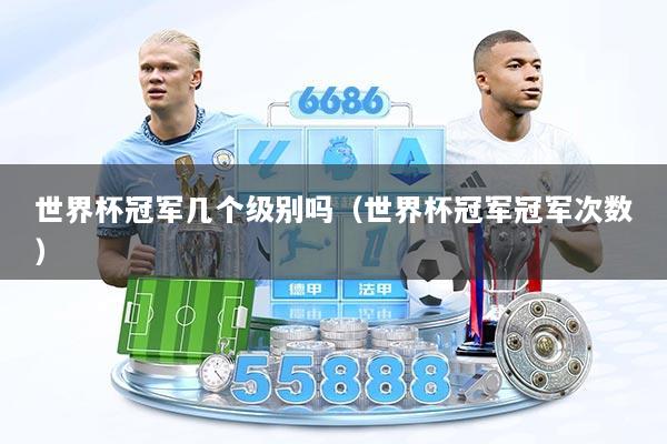 世界杯冠军几个级别吗（世界杯冠军冠军次数）