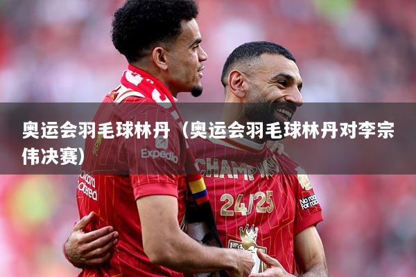 奥运会羽毛球林丹（奥运会羽毛球林丹对李宗伟决赛）