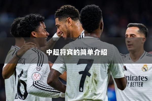 中超符宾的简单介绍